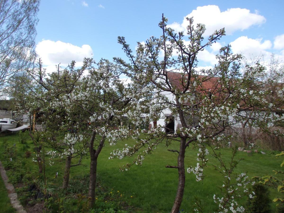 Krakowskie Mazury Gradzkie  Exterior photo