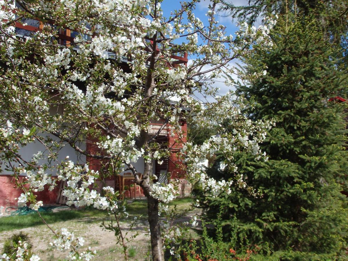Krakowskie Mazury Gradzkie  Exterior photo